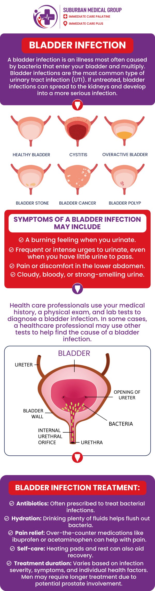 Common questions asked by patients: What causes bladder infections and who is most at risk? What are the common symptoms of a bladder infection? Can bladder infections go away on their own without treatment? How can bladder infections be prevented or reduced in recurrence? For more information, contact us or book an appointment online. We are located at 371 W Northwest Hwy, Palatine, IL 60067. We serve patients from Palatine IL, Rolling Meadows IL, Arlington Heights IL, Mount Prospect IL, and surrounding cities. Common questions asked by patients: What causes bladder infections and who is most at risk? What are the common symptoms of a bladder infection? Can bladder infections go away on their own without treatment? How can bladder infections be prevented or reduced in recurrence? For more information, contact us or book an appointment online. We are located at 371 W Northwest Hwy, Palatine, IL 60067. We serve patients from Palatine IL, Rolling Meadows IL, Arlington Heights IL, Mount Prospect IL, and surrounding cities.