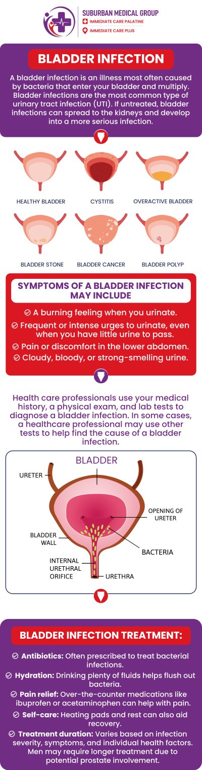 Common questions asked by patients: What causes bladder infections and who is most at risk? What are the common symptoms of a bladder infection? Can bladder infections go away on their own without treatment? How can bladder infections be prevented or reduced in recurrence? For more information, contact us or book an appointment online. We are located at 371 W Northwest Hwy, Palatine, IL 60067. We serve patients from Palatine IL, Rolling Meadows IL, Arlington Heights IL, Mount Prospect IL, and surrounding cities. Common questions asked by patients: What causes bladder infections and who is most at risk? What are the common symptoms of a bladder infection? Can bladder infections go away on their own without treatment? How can bladder infections be prevented or reduced in recurrence? For more information, contact us or book an appointment online. We are located at 371 W Northwest Hwy, Palatine, IL 60067. We serve patients from Palatine IL, Rolling Meadows IL, Arlington Heights IL, Mount Prospect IL, and surrounding cities.