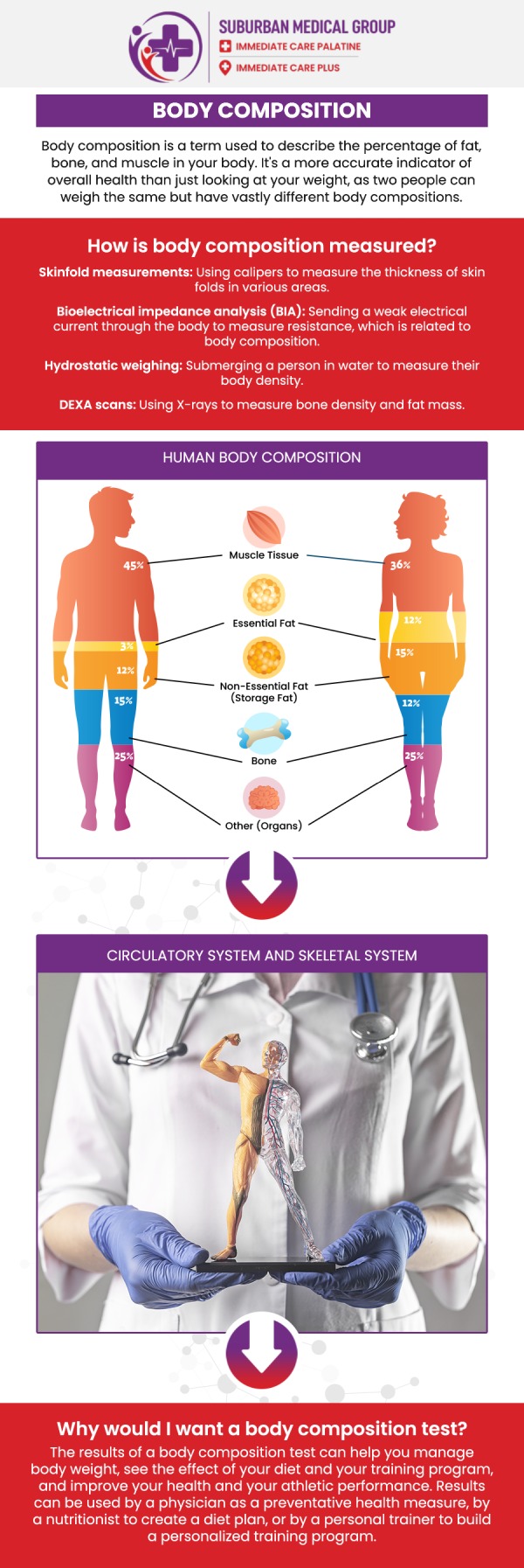 Common questions asked by patients: What is a body composition assessment and why is it important? How is a body composition assessment different from a standard weight measurement? What methods are used in a body composition assessment? Who should consider getting a body composition assessment? For more information, contact us or book an appointment online. We are located at 371 W Northwest Hwy, Palatine, IL 60067. We serve patients from Palatine IL, Rolling Meadows IL, Arlington Heights IL, Mount Prospect IL, and surrounding cities. Common questions asked by patients: What is a body composition assessment and why is it important? How is a body composition assessment different from a standard weight measurement? What methods are used in a body composition assessment? Who should consider getting a body composition assessment? For more information, contact us or book an appointment online. We are located at 371 W Northwest Hwy, Palatine, IL 60067. We serve patients from Palatine IL, Rolling Meadows IL, Arlington Heights IL, Mount Prospect IL, and surrounding cities.