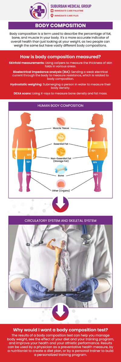 Common questions asked by patients: What is a body composition assessment and why is it important? How is a body composition assessment different from a standard weight measurement? What methods are used in a body composition assessment? Who should consider getting a body composition assessment? For more information, contact us or book an appointment online. We are located at 371 W Northwest Hwy, Palatine, IL 60067. We serve patients from Palatine IL, Rolling Meadows IL, Arlington Heights IL, Mount Prospect IL, and surrounding cities. Common questions asked by patients: What is a body composition assessment and why is it important? How is a body composition assessment different from a standard weight measurement? What methods are used in a body composition assessment? Who should consider getting a body composition assessment? For more information, contact us or book an appointment online. We are located at 371 W Northwest Hwy, Palatine, IL 60067. We serve patients from Palatine IL, Rolling Meadows IL, Arlington Heights IL, Mount Prospect IL, and surrounding cities.
