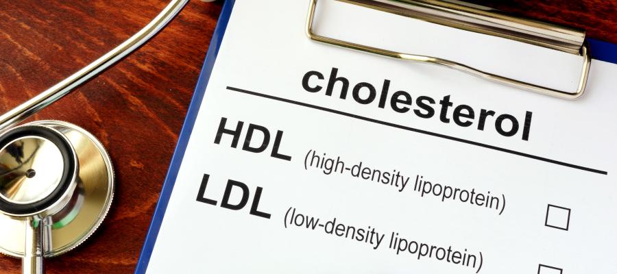 Cholesterol Testing Clinic in East Dundee IL Cholesterol Testing Clinic in East Dundee IL
