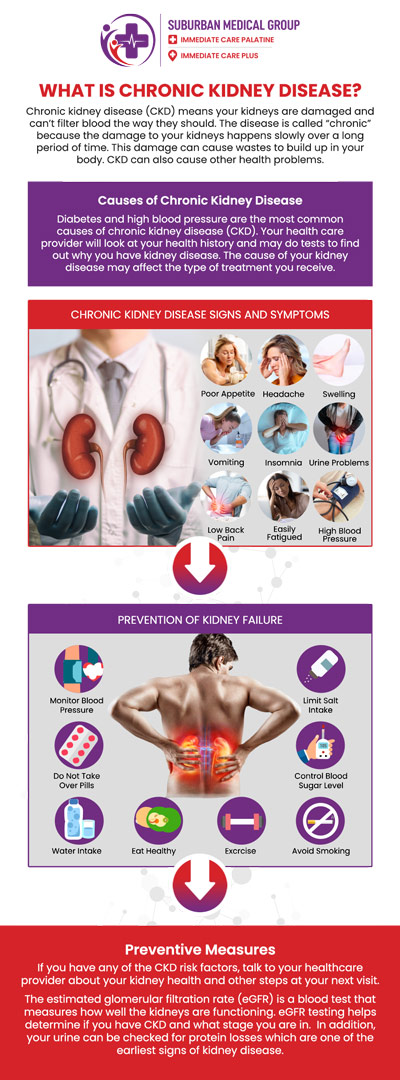 Common questions asked by patients: What are the common symptoms of a kidney infection? When should I seek urgent care for a kidney infection? Can a kidney infection cause fever, chills, or back pain? How is a kidney infection diagnosed by a medical provider? For more information, contact us or book an appointment online. We are conveniently located at 693 W Boughton Rd, Bolingbrook, IL 60440. We serve patients from Bolingbrook IL, Romeoville IL, Naperville IL, Woodridge IL, and surrounding cities. Common questions asked by patients: What are the common symptoms of a kidney infection? When should I seek urgent care for a kidney infection? Can a kidney infection cause fever, chills, or back pain? How is a kidney infection diagnosed by a medical provider? For more information, contact us or book an appointment online. We are conveniently located at 693 W Boughton Rd, Bolingbrook, IL 60440. We serve patients from Bolingbrook IL, Romeoville IL, Naperville IL, Woodridge IL, and surrounding cities.