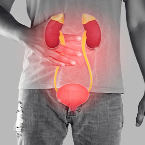 Kidney Infections Treatment in Bolingbrook, Palatine, and East Dundee IL