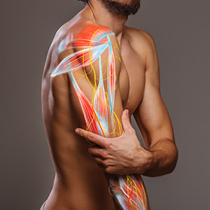 Musculoskeletal Disorder Treatment in Bolingbrook, Palatine, and East Dundee IL

